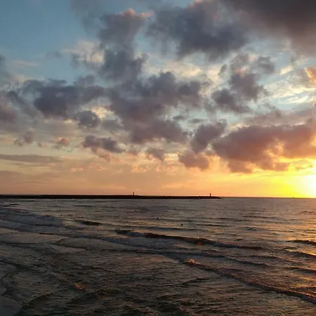 Albatros Alb شقة *