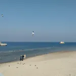 Albatros Alb
