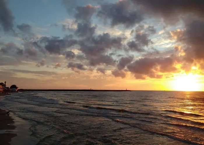 Albatros Alb Appartement *